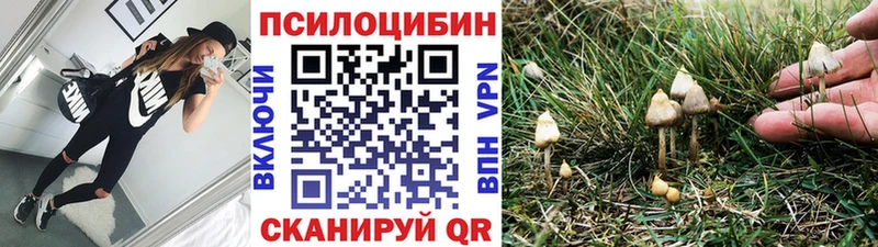 Псилоцибиновые грибы GOLDEN TEACHER  купить   Ахтубинск 